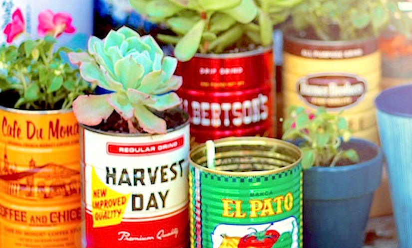 Urban container growing using old tins